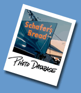 Photo Database